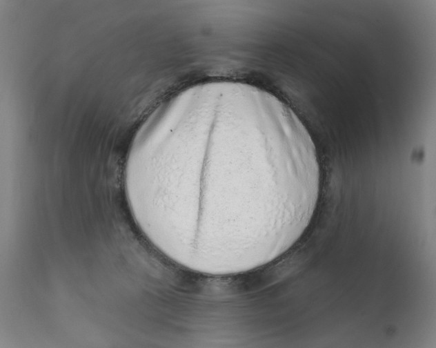 X0000111130273200907211121