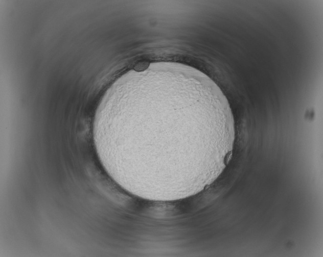 X0000111130278200907211122