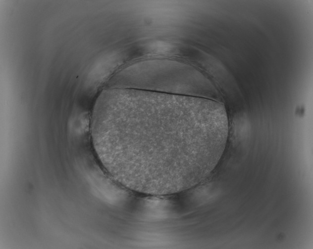 X0000111130284200907211122