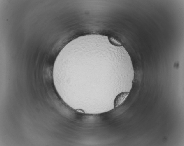 X0000111130286200907211122