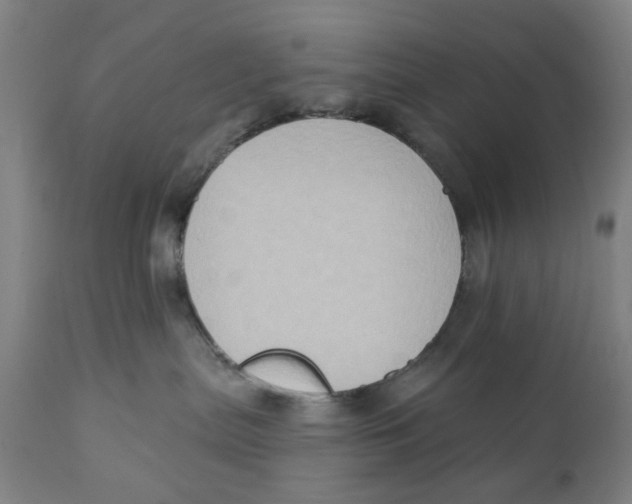 X0000111130287200907211122
