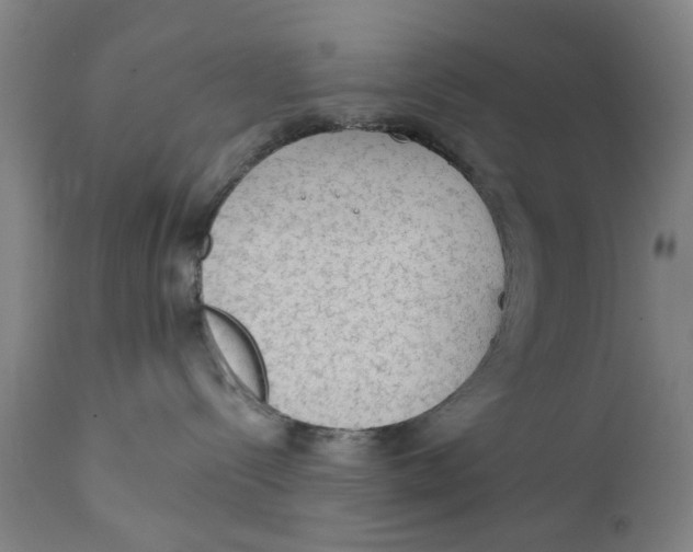 X0000111130288200907211122