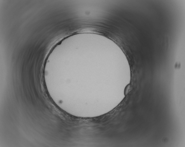 X0000111130289200907211121