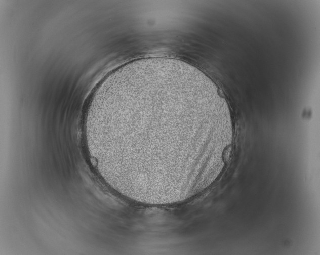 X0000111130290200907211121