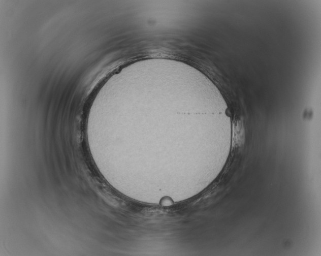 X0000111130291200907211121
