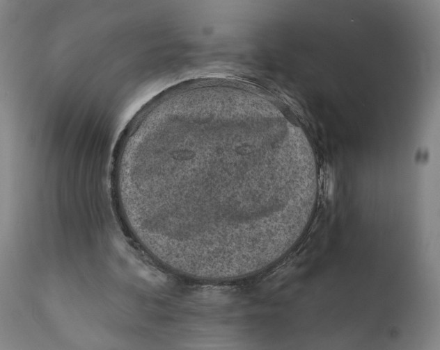 X0000111130292200907211121