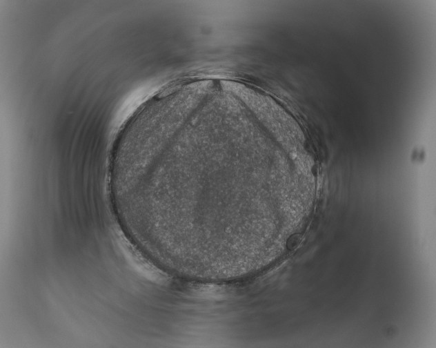 X0000111130293200907211121