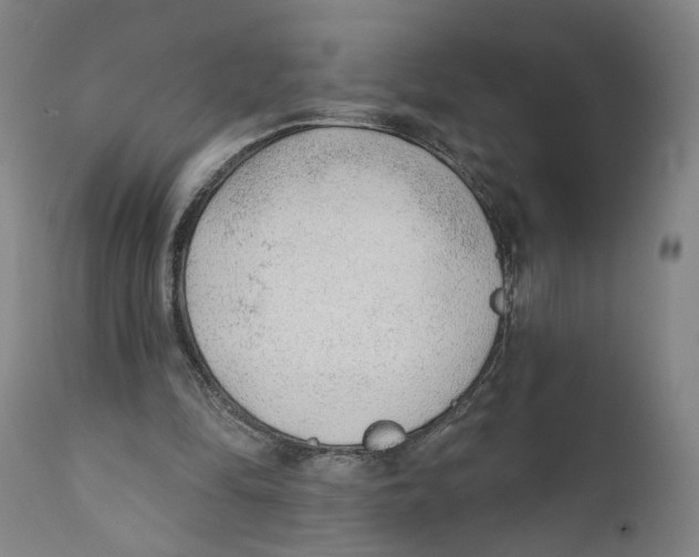 X0000111130294200907211121