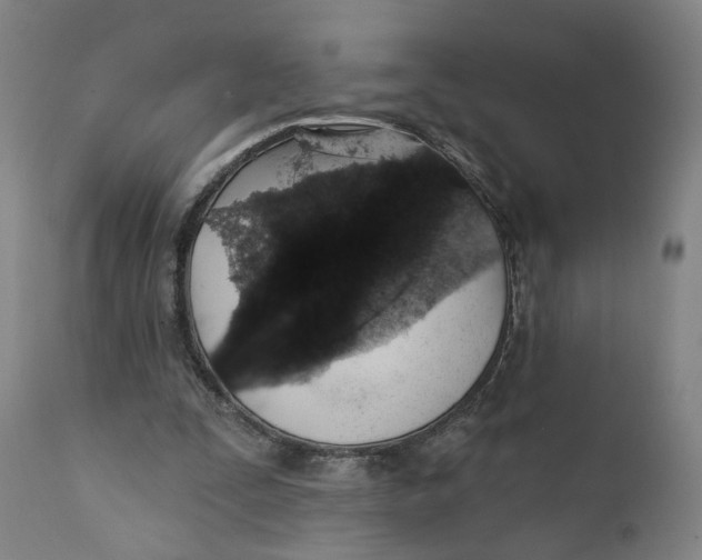 X0000111130295200907211121