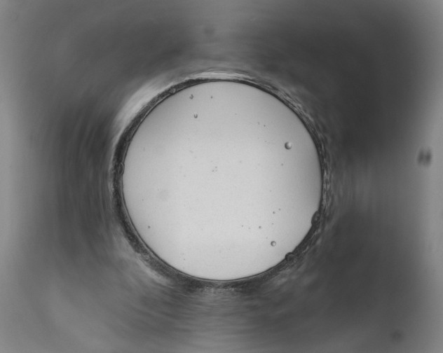 X0000111130296200907211121