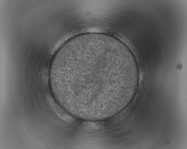 X0000111130297200907211121