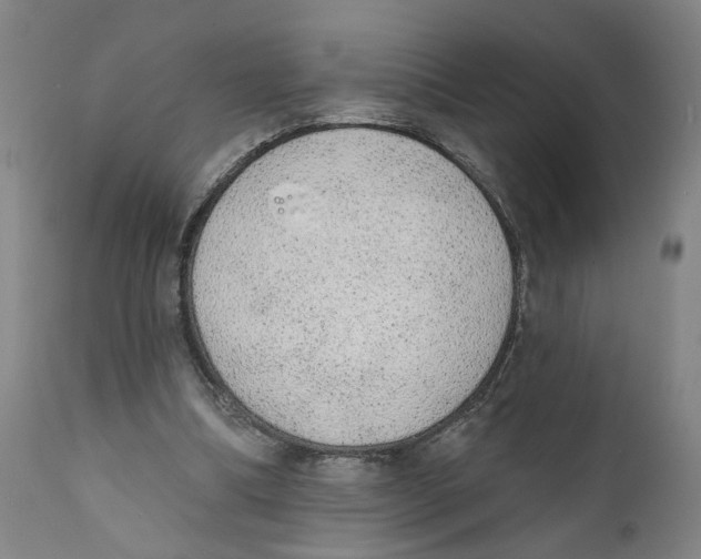 X0000111130298200907211121