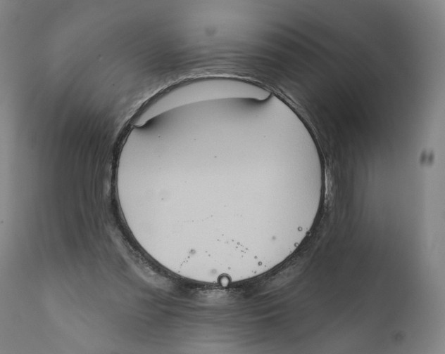 X0000111130301200907211121