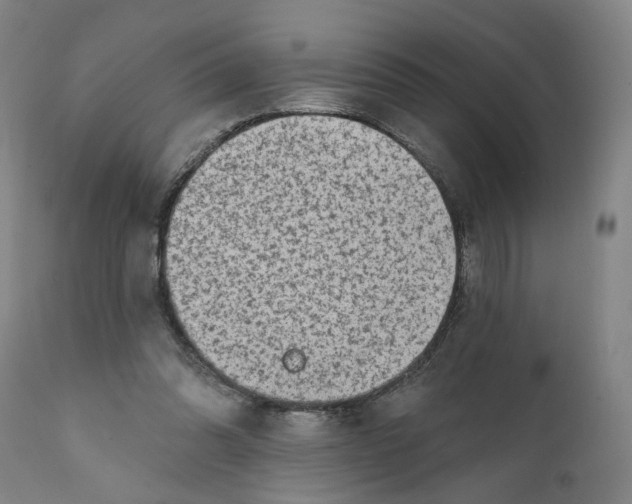 X0000111130302200907211121