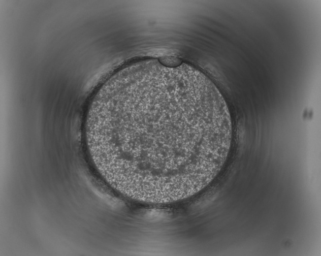 X0000111130303200907211121