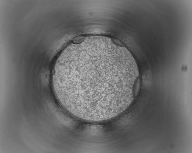 X0000111130304200907211121