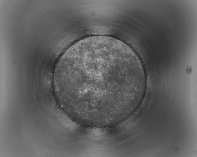 X0000111130305200907211121