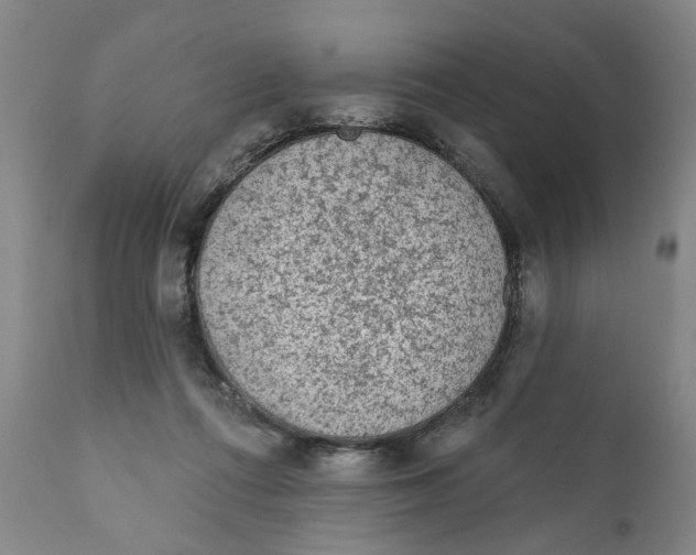 X0000111130312200907211120