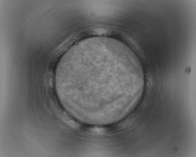 X0000111130313200907211120