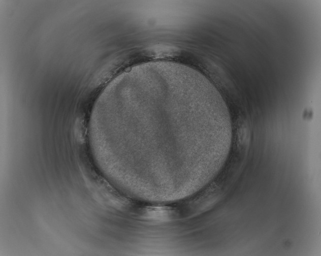 X0000111130316200907211120