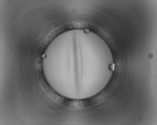 X0000111130317200907211120
