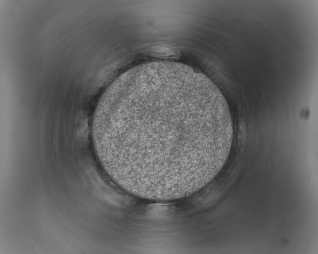X0000111130320200907211120