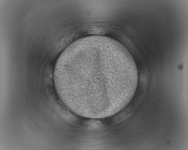X0000111130322200907211120