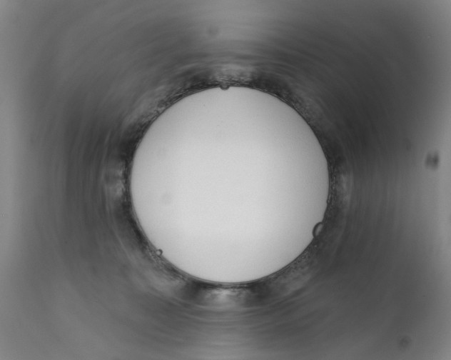 X0000111130323200907211120