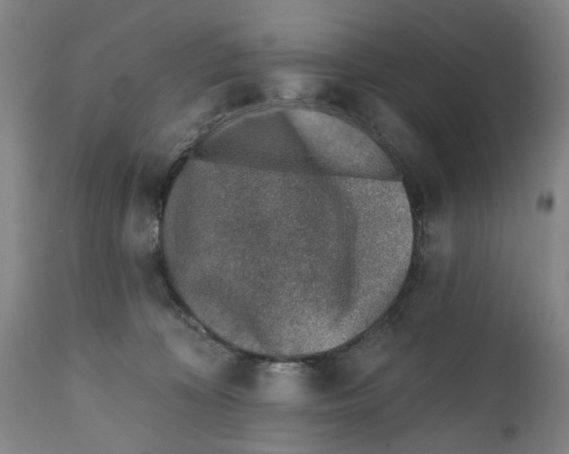 X0000111130324200907211120