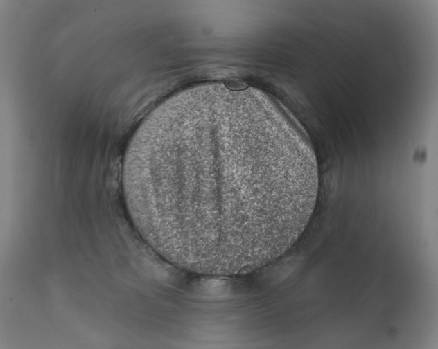 X0000111130325200907211120