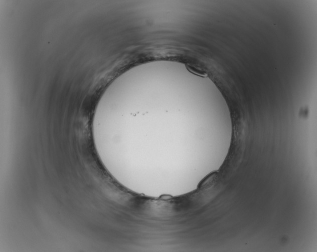 X0000111130327200907211120