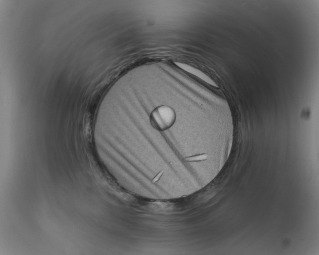 X0000111130328200907211120