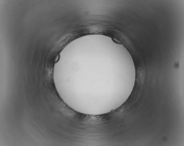 X0000111130329200907211120