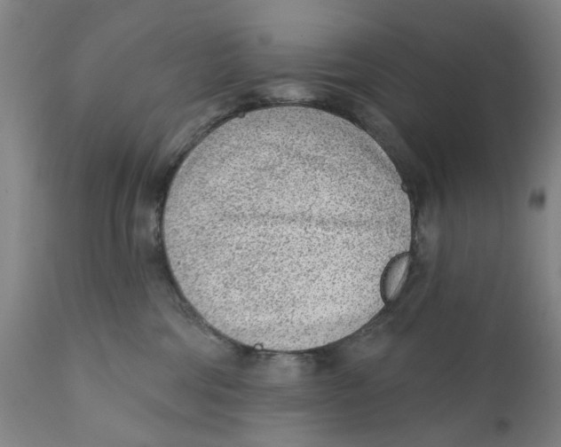 X0000111130330200907211120