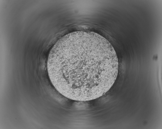 X0000111130331200907211120