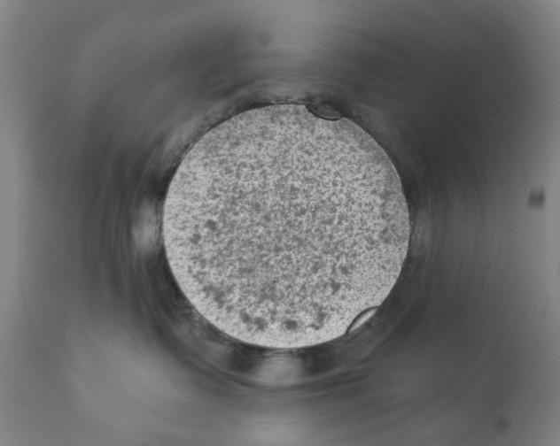 X0000111130335200907211120