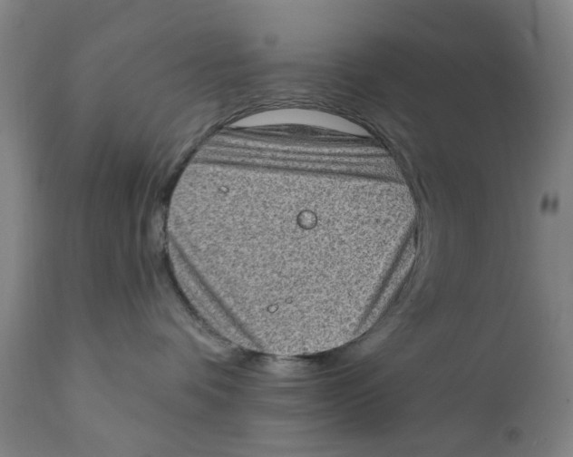 X0000111130336200907211120