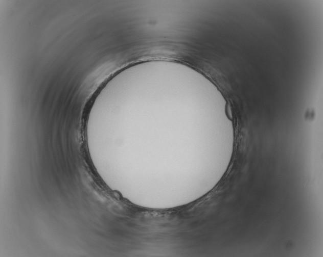 X0000111130338200907211120