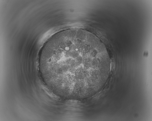 X0000111130339200907211120