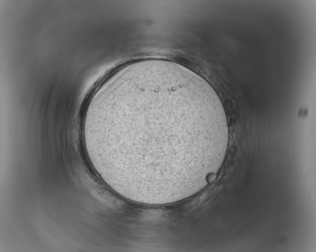 X0000111130342200907211120