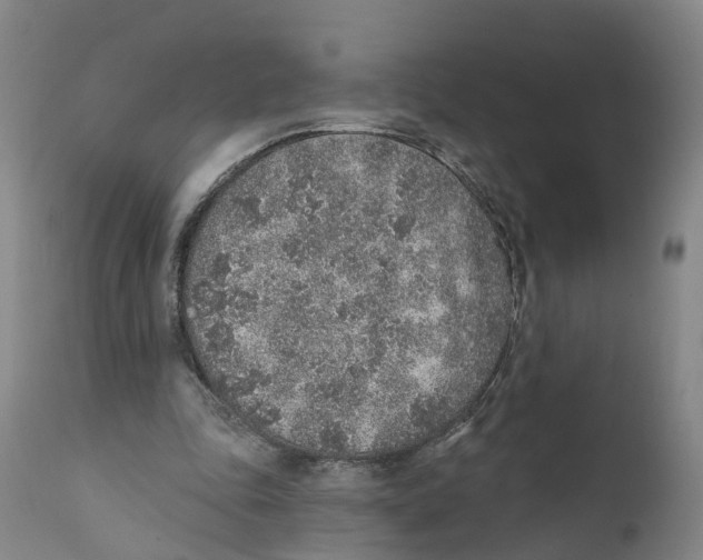 X0000111130343200907211120