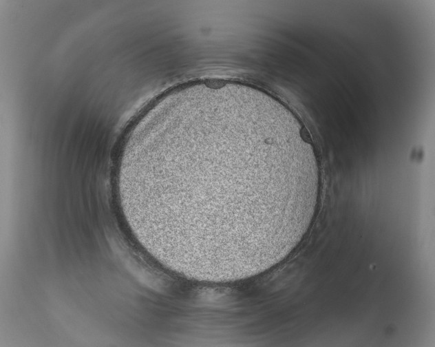 X0000111130346200907211120