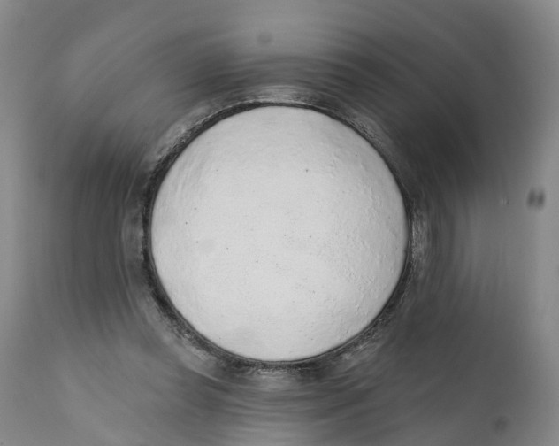 X0000111130349200907211120