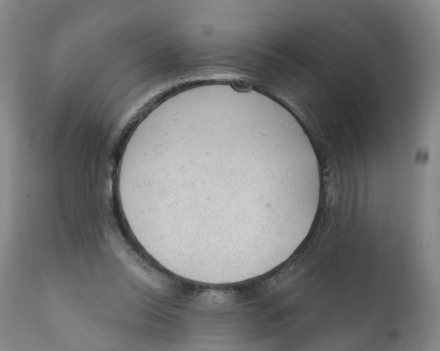 X0000111130350200907211120