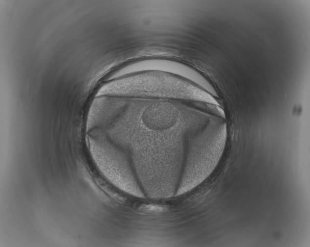 X0000111130352200907211120