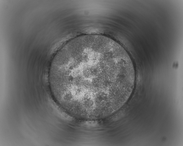 X0000111130353200907211120