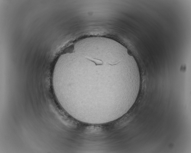 X0000111130354200907211120