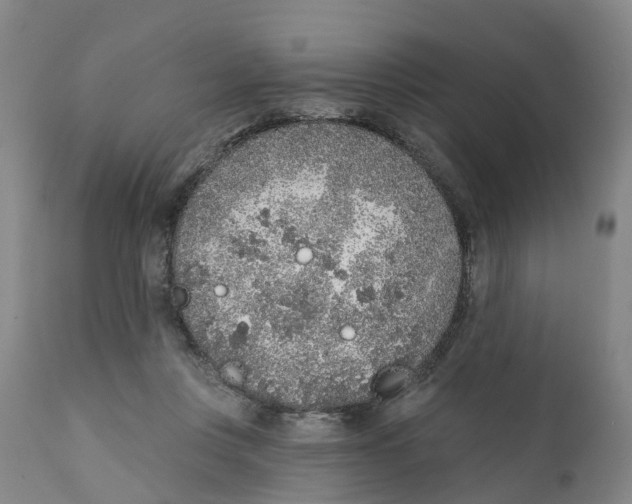 X0000111130359200907211120