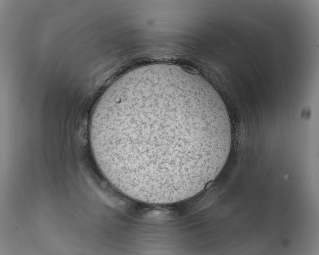 X0000111130364200907211120