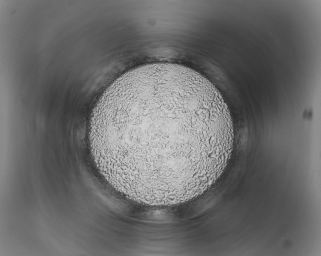 X0000111130365200907211120